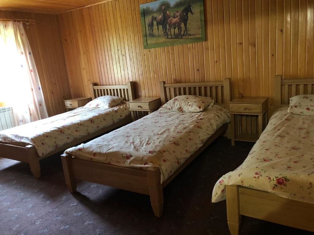 Дома для отпуска Маєток на Озерах Ispas-37